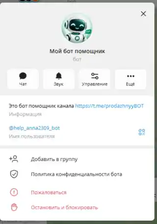 Оформленный профиль Telegram-бота глазами пользователя
